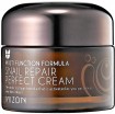       Mizon Snail Repair Perfect Cream - SKINSOFT