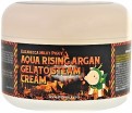       Elizavecca Aqua Rising Argan Gelato Steam Cream - SKINSOFT