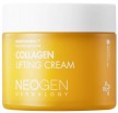     Neogen Dermalogy Collagen Lifting Cream - SKINSOFT