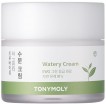  -     Tony Moly The Green Tea True Biome Watery Cream - SKINSOFT