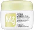      A'Pieu Cicative Magnesium Cream - SKINSOFT