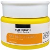        Eco Branch Intensive AHA BHA Vitamin Cream - SKINSOFT