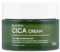     Tenzero Blemish Cica Cream - SKINSOFT