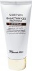    Secret Skin Galactomyces Treatment Face Cream - SKINSOFT