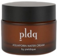     PLDQ Aquaporin Water Cream - SKINSOFT