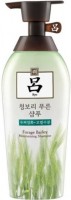      Ryo Forage Barley Moisturizing Shampoo - SKINSOFT