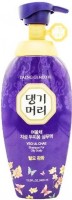      Daeng Gi Meo Ri Yeo Ul Chae Shampoo For Oily Scalp - SKINSOFT