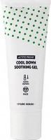     Etude House Active Proof Cool Down Soothing Gel - SKINSOFT